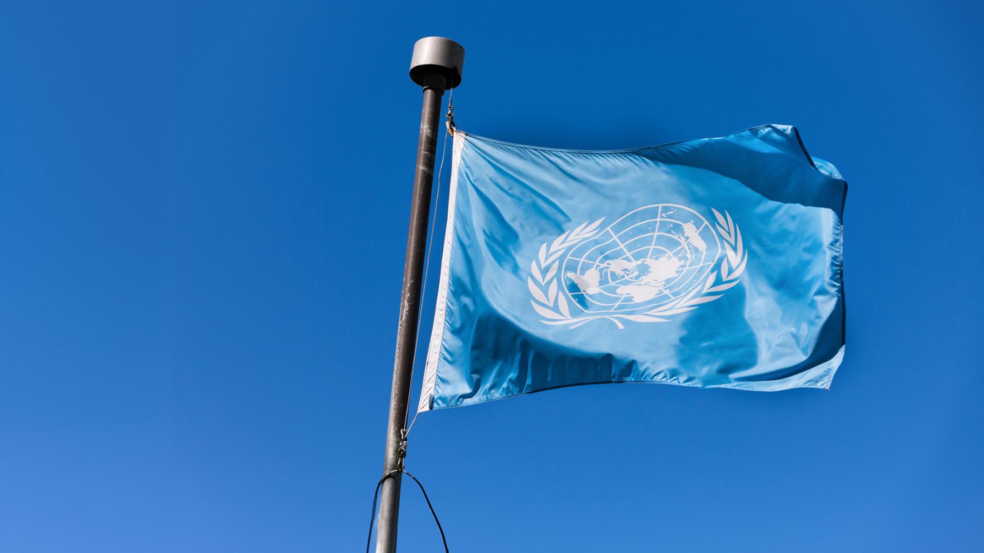 Vlag VN