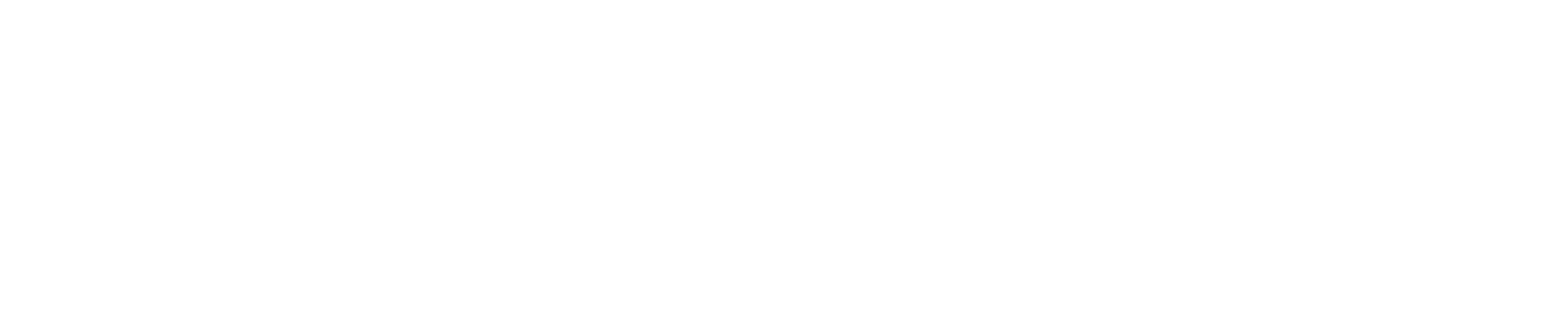Logo Erasmus+ wit